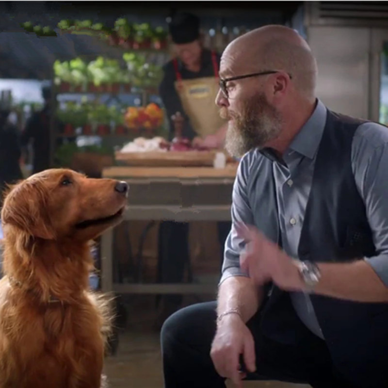 Sam, who portrayed Duke, the Bush’s Baked Beans dog, has died